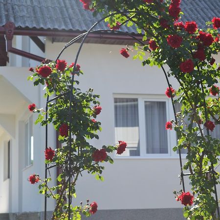 Casa Maria Affittacamere Prundul Birgaului Esterno foto
